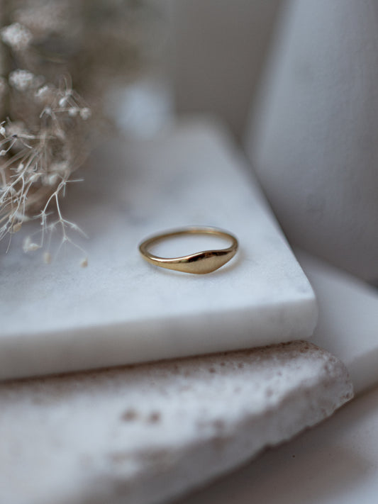 Jodi Ring