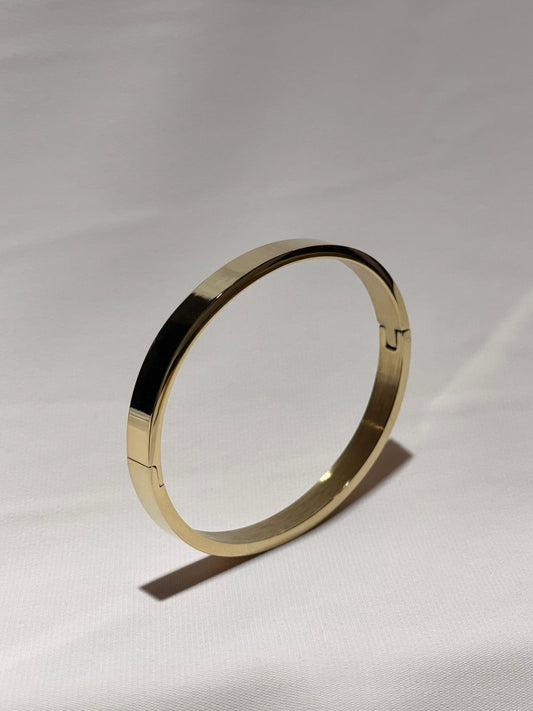 Dena Bangle