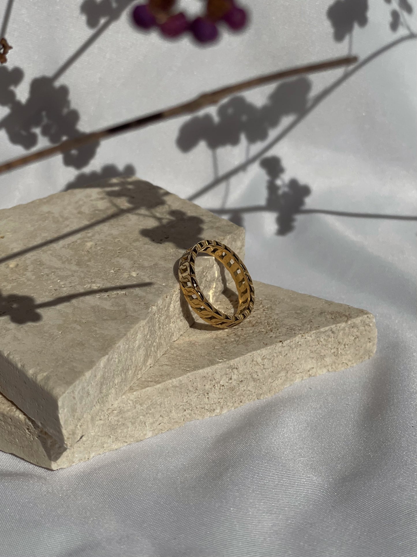 Leo Ring