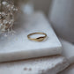 Jodi Ring